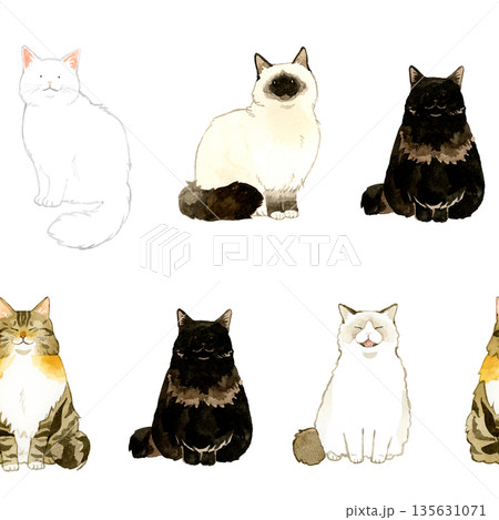 ノルウェージャンフォレストキャットのイラスト素材 - PIXTA