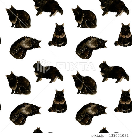 長毛黒猫のイラスト素材 - PIXTA