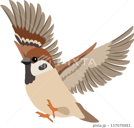飛んでいる鳥のイラスト素材 - PIXTA