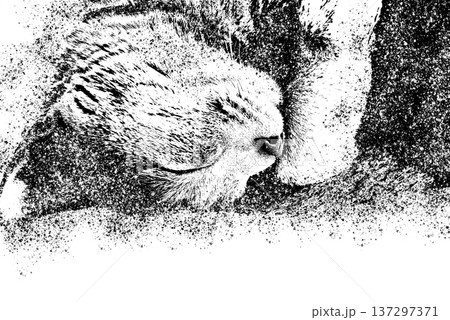 黒猫版画 猫の版画 山岡康子 銅版画 食刻 額装品 制限事項