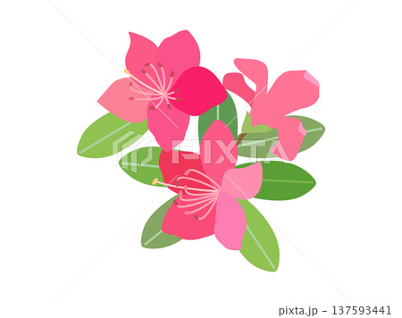 花 植物 ツツジ 5月のイラスト素材 - PIXTA