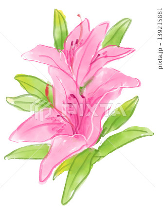 花 ツツジ 躑躅 水彩のイラスト素材 - PIXTA