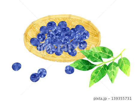 blueberryのイラスト素材 - PIXTA