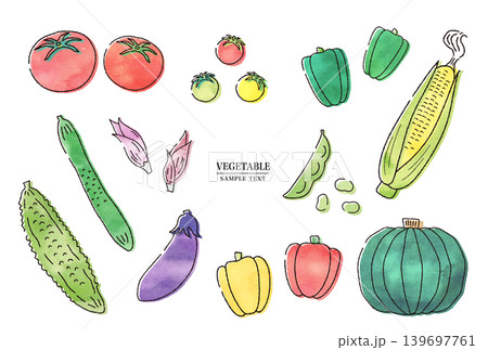 ゴーヤ 夏野菜 ミニトマト 野菜のイラスト素材 - PIXTA