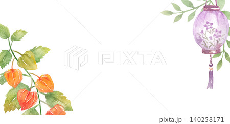油彩画 植物の花ホオヅキ 水彩画 鬼灯 花 植物のイラスト素材 - PIXTA
