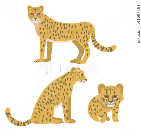 ヒョウ・チーターのイラスト素材(19,916点以上の高品質なイラスト素材
